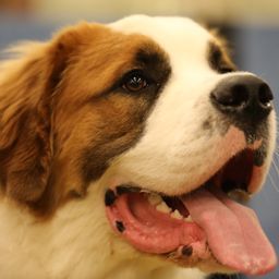 photograph by PeterW